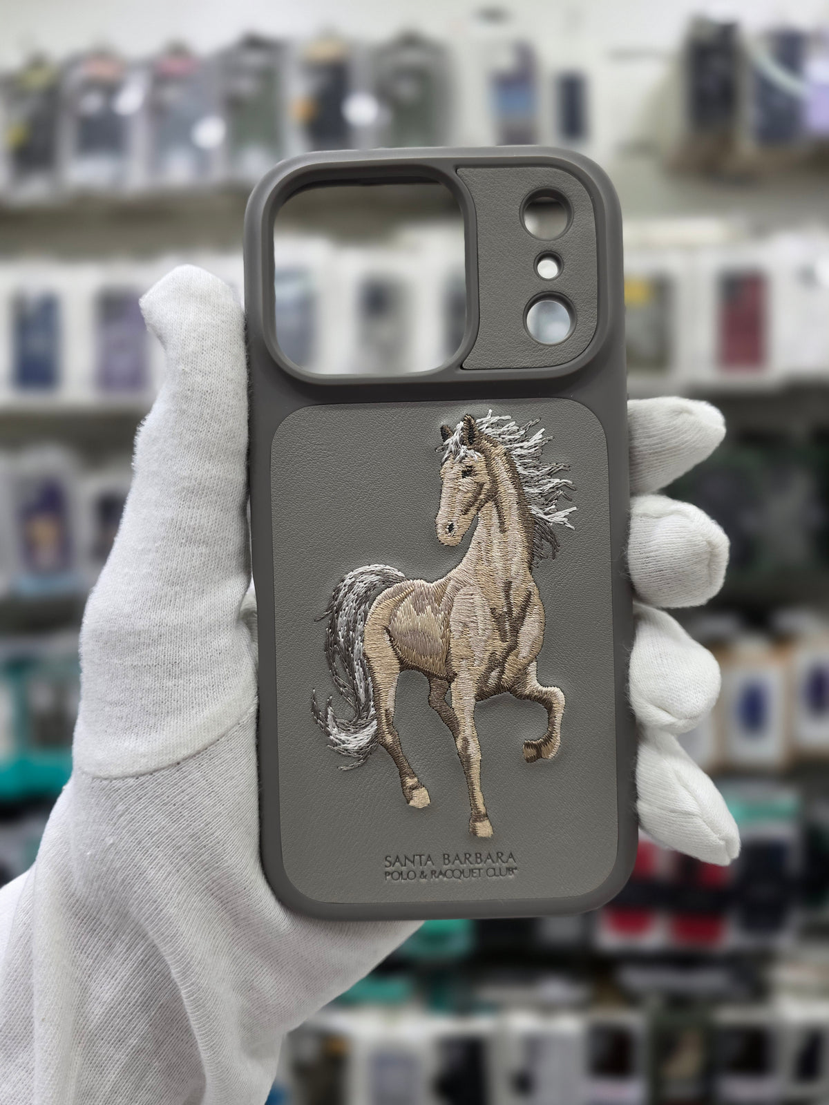 Santa Barbara Boris Series For iPhone 17 Pro Back Cover