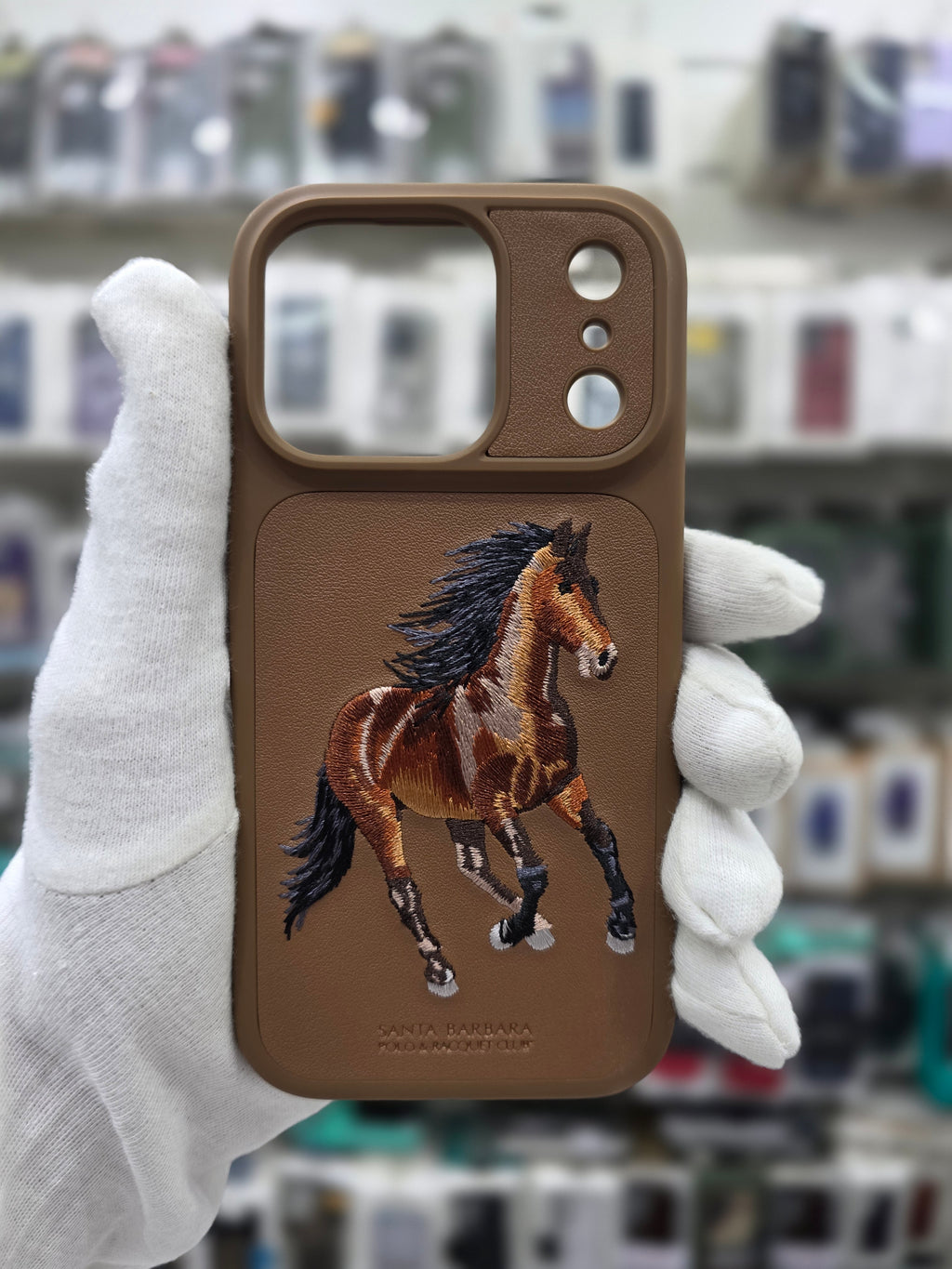 Santa Barbara Boris Series For iPhone 17 Pro Back Cover