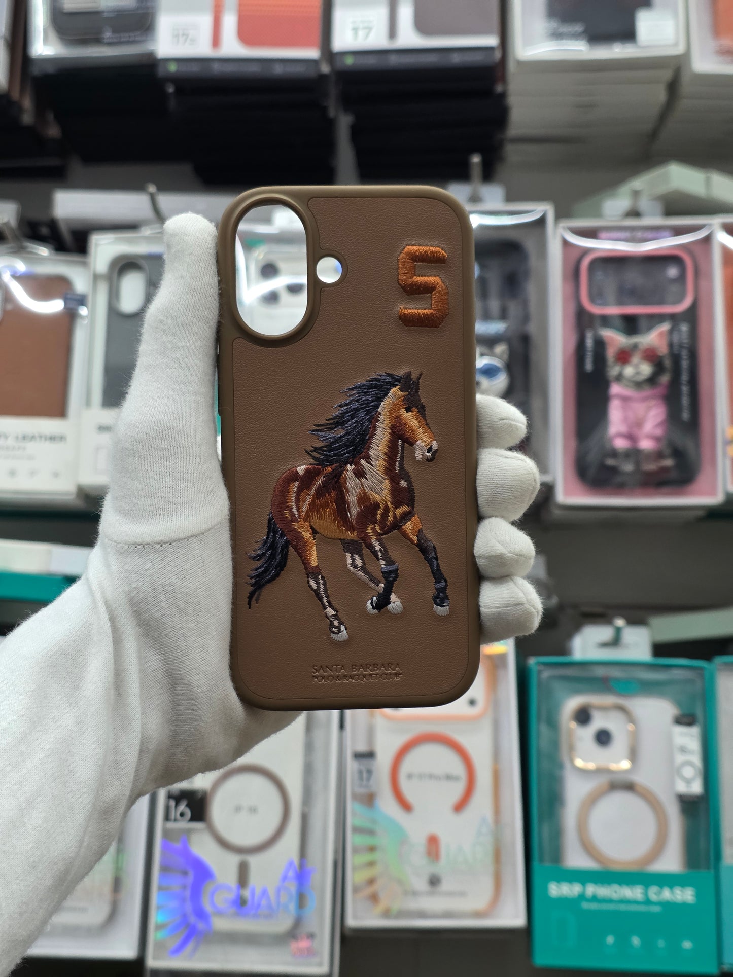 Santa Barbara Boris Series For iPhone 17  Back Cover
