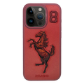 Santa Barbara Boris Series For iPhone 15 Pro Max Back Cover