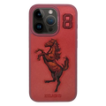 Santa Barbara Boris Series For iPhone 15 Back Cover