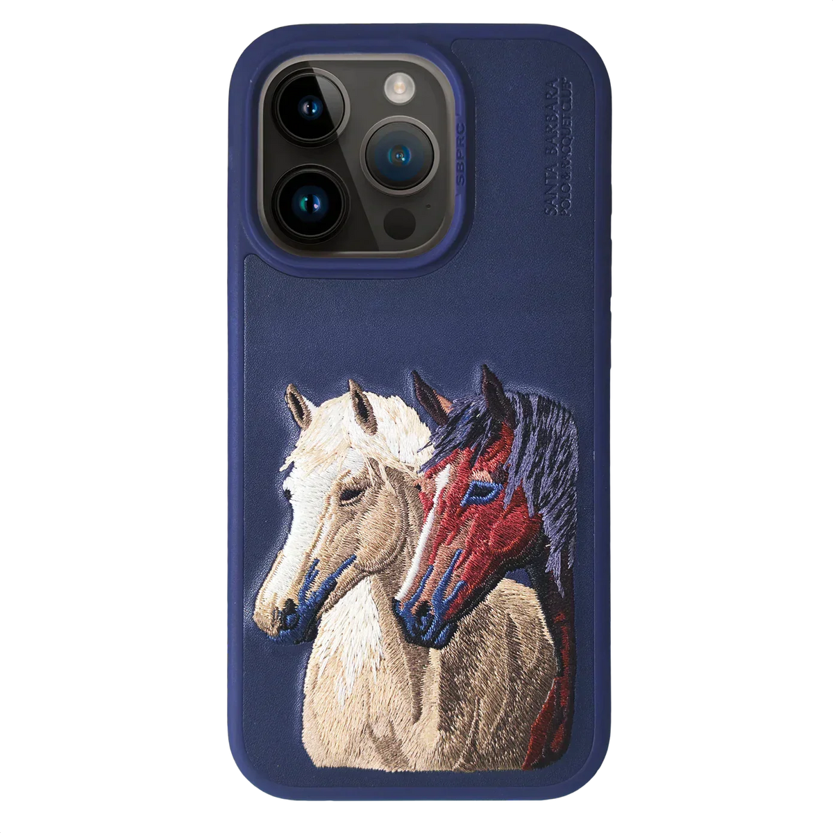Santa Barbara Isidore Series For iPhone 15 Back Cover