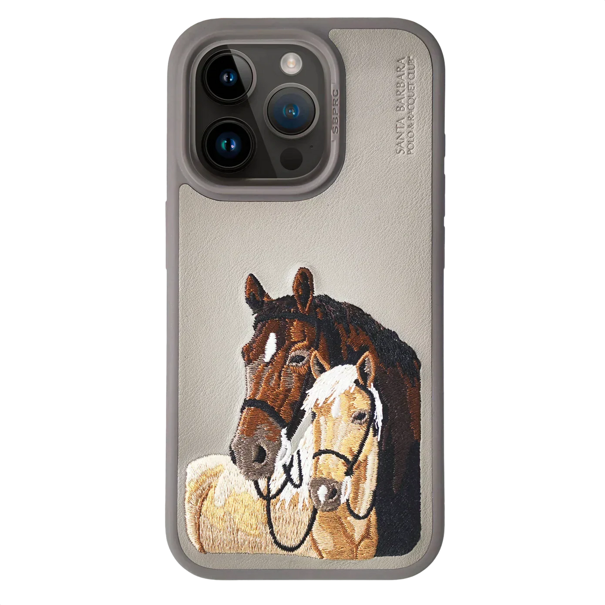 Santa Barbara Isidore Series For iPhone 15 Back Cover